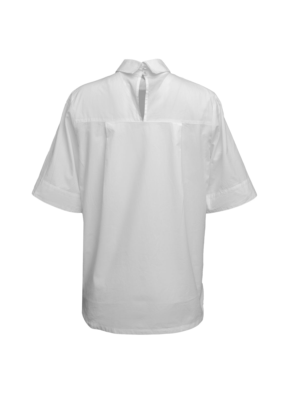 Bluse aus 100% feiner Baumwolle, schmalem Kragen mit Knopfverschluss auf der Rückseite und breiten Ärmelumschlägen